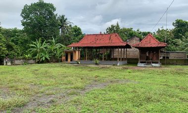 Dijual tanah SHMP di Sentolo Kulon Progo bonus joglo u/investasi dll