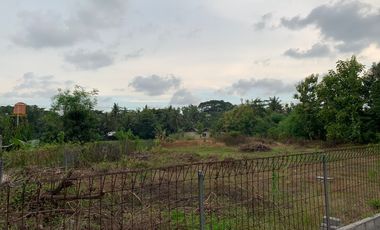 Dijual tanah SHMP pinggir jl raya wates,kulonprogo (10menit ke YIA)