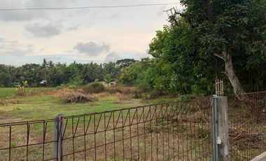 Dijual tanah SHMP pinggir jl raya wates,kulonprogo (10menit ke YIA)