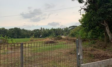 Dijual tanah SHMP pinggir jl raya wates,kulonprogo (10menit ke YIA)