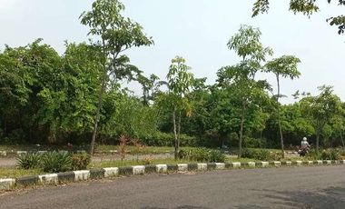 Di sewakan tanah kavling dpr dkt transmart