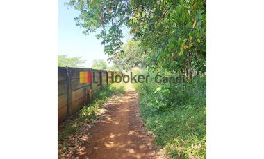 Kavling di Plelen Gringsing Batang Jawa Tengah