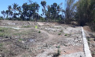 Tanah Luas Murah Strategis Di Jl. Raya Rejotangan, Kab. Tulungagung