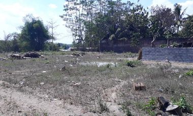 Tanah Luas Murah Strategis Di Jl. Raya Rejotangan, Kab. Tulungagung