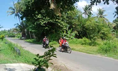 tanah mangku jalan di kulon progo yogyakarta