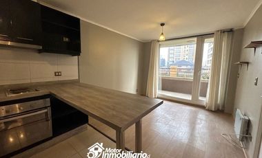 Departamento en Arriendo en ARAGON 85