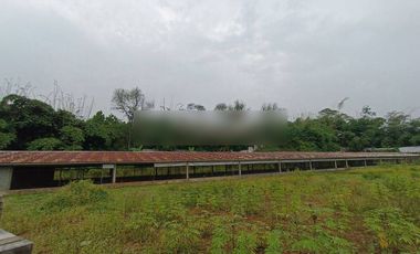 Tanah di Desa ciburuy,Lebak, rangkasbitung