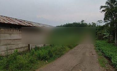 Tanah di Desa ciburuy,Lebak, rangkasbitung