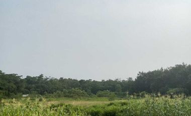 Tanah di Desa ciburuy,Lebak, rangkasbitung