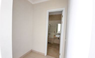 Cluster  Vivacia , Eminent , BSD