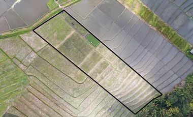 2800 m2 LEASEhold dket Kedungu & Tanah Lot Direct Owner