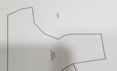 Dijual Cepat Tanah Pinggir Jalan Buaran Victor