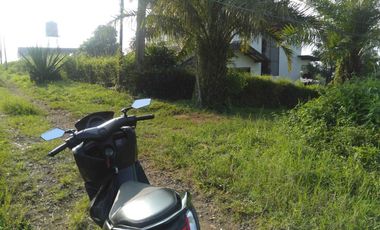 •	Jual Kavling Katumiri Cihanjuang Cimahi Luas 828m2