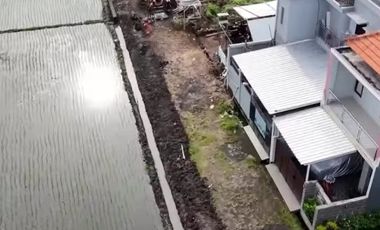 Rumah indent premium di gatsu timur