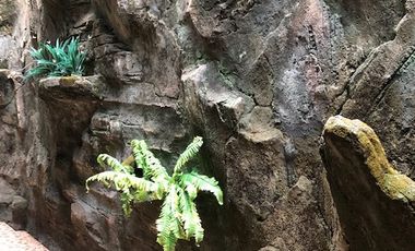 Dijual Rumah Pakis Tirtosari XV, Surabaya