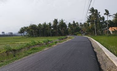 Dijual tanah ditepi jalan ke pantai Glagah, Dekat bandara YIA