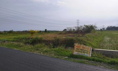 Dijual tanah ditepi jalan ke pantai Glagah, Dekat bandara YIA