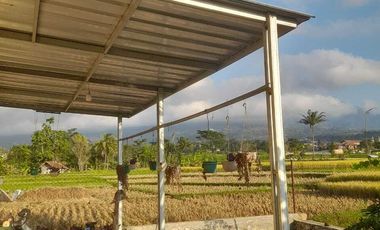 Rumah di jalan Raya Gibug Cigadung Kuningan Jawa Barat