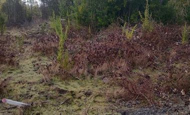 Parcela en Venta en Tarapacá
