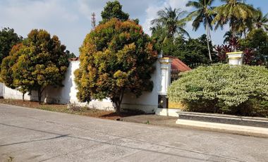 Rumah Besar shm jln, sersan darphin. Jambi
