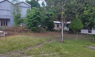 Jual Tanah Menarik di Minggiran Yogya