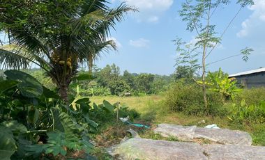 Jual Tanah cocok untuk pabrik atau gudang di  Lebak banten