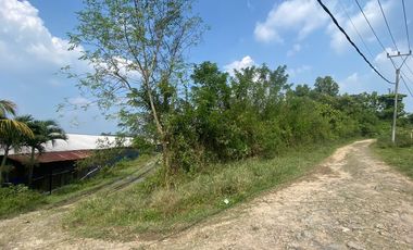 Jual Tanah cocok untuk pabrik atau gudang di  Lebak banten