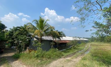 Jual Tanah cocok untuk pabrik atau gudang di  Lebak banten