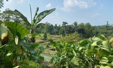 Jual Tanah cocok untuk pabrik atau gudang di  Lebak banten