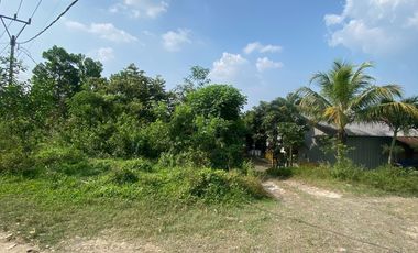 Jual Tanah cocok untuk pabrik atau gudang di  Lebak banten