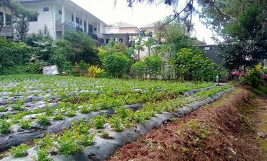 Tanah Kavling Murah Villa Bunga Indah