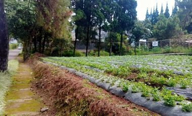 Tanah Kavling Murah Villa Bunga Indah