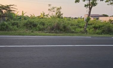 Tanah pinggir jalan raya mantup arah lamongan kota