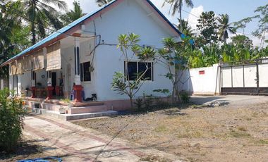 Dijual Tanah dan Bangunan untuk Bisnis Peternakan di Melaya Jembrana Bali