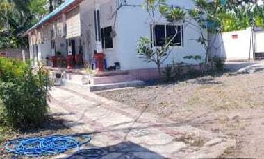 Dijual Tanah dan Bangunan untuk Bisnis Peternakan di Melaya Jembrana Bali