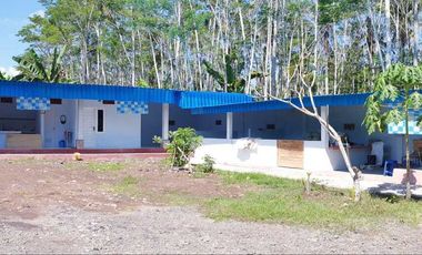 Dijual Tanah dan Bangunan untuk Bisnis Peternakan di Melaya Jembrana Bali