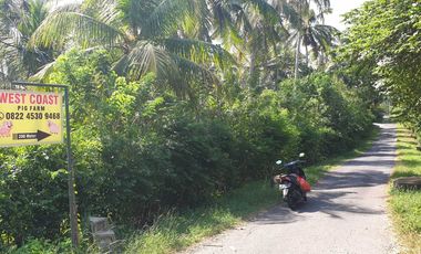 Dijual Tanah dan Bangunan untuk Bisnis Peternakan di Melaya Jembrana Bali