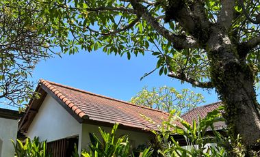 DIJUAL CEPAT & MURAH