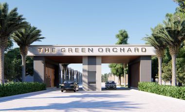 CLUSTER THE GREEN ORCHARD TIPE 150