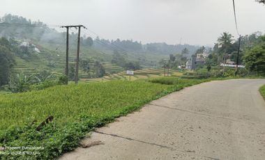 SAWAH PALING BAGUS 3X PANEN || AIR MENGALIR. BAGUS JUGA BUAT VILA