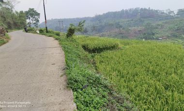 SAWAH PALING BAGUS 3X PANEN || AIR MENGALIR. BAGUS JUGA BUAT VILA