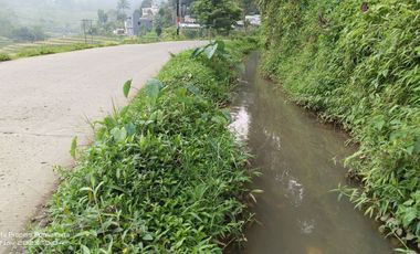 SAWAH PALING BAGUS 3X PANEN || AIR MENGALIR. BAGUS JUGA BUAT VILA