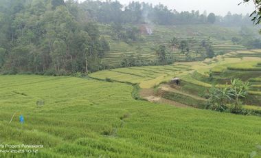 SAWAH PALING BAGUS 3X PANEN || AIR MENGALIR. BAGUS JUGA BUAT VILA