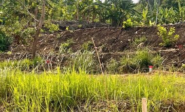 Tanah Dijual dekat Jalan Lingkar Salatiga