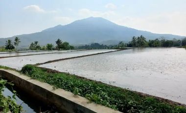 Dijual tanah pinggir jalan raya, 3 hektar, SHM