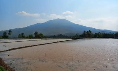 Dijual tanah pinggir jalan raya, 3 hektar, SHM