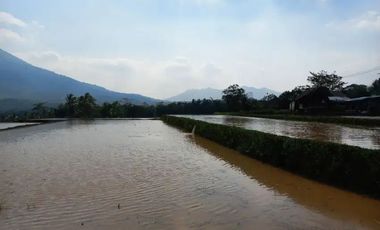 Dijual tanah pinggir jalan raya, 3 hektar, SHM