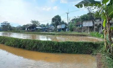 Dijual tanah pinggir jalan raya, 3 hektar, SHM