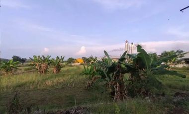 Tanah dijual di Sumberaji, Lamongan, Jawa Timur