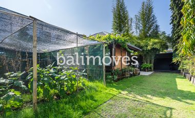 Rumah Kayu Satu Kamar Tidur Di Serangan